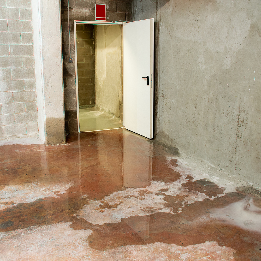 Basement Sewage Back Up, sewage cleanup services cleveland by bee dry