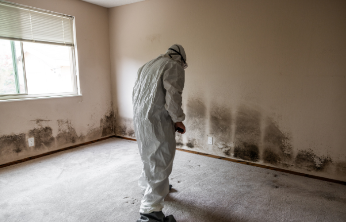 Smoke and Soot Cleaning expert from Bee Dry Restoration of Cleveland, water damage restoration services near me cleveland