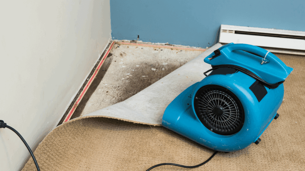 Water Restoration Blower