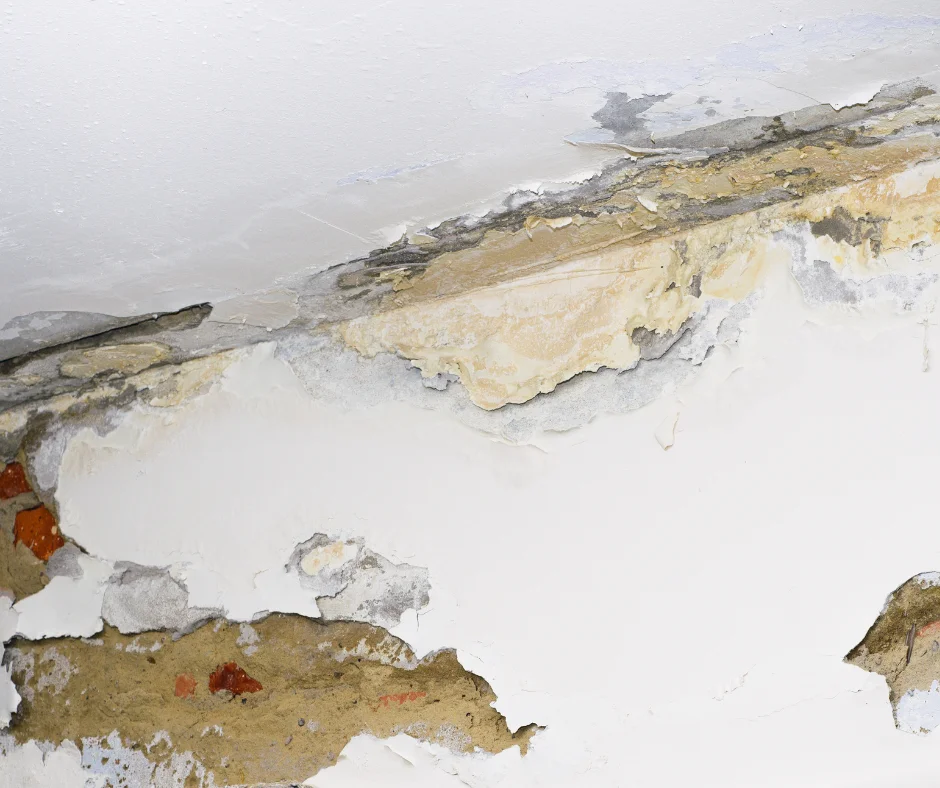 water damage restoration near me eastlake