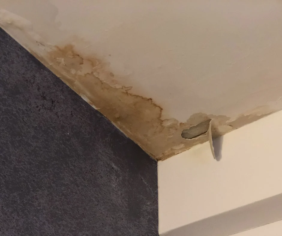 water damage restoration near me mentor