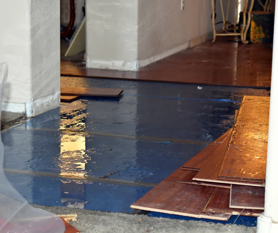 water damage restoration wickliffe