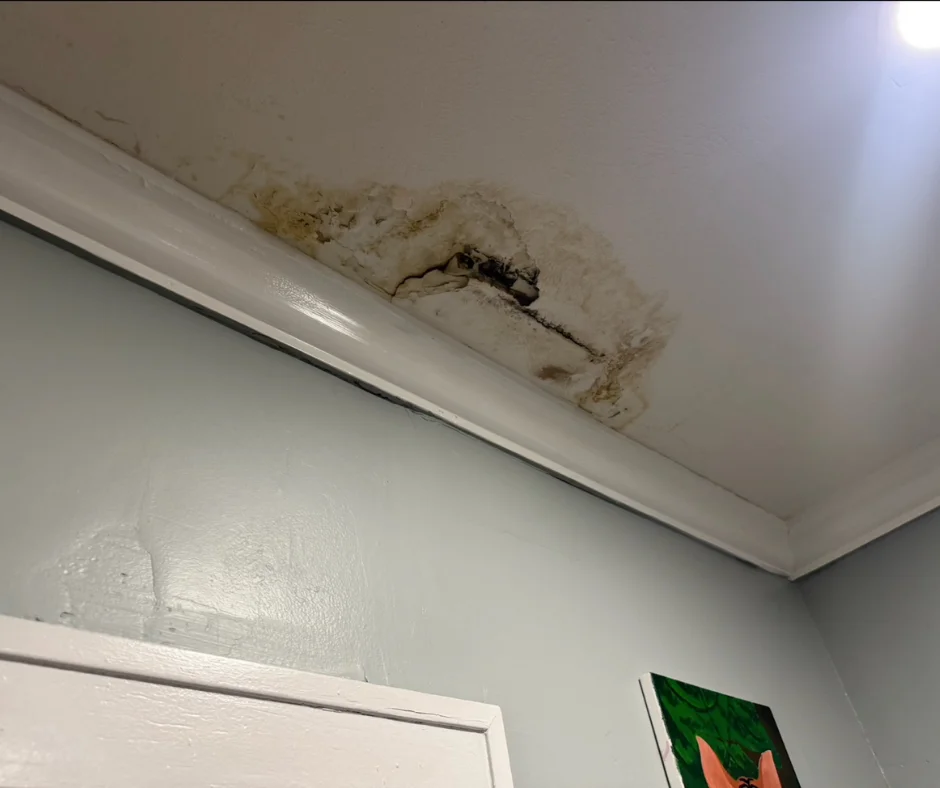 residential mold inspection cleveland, apartment mold remediation