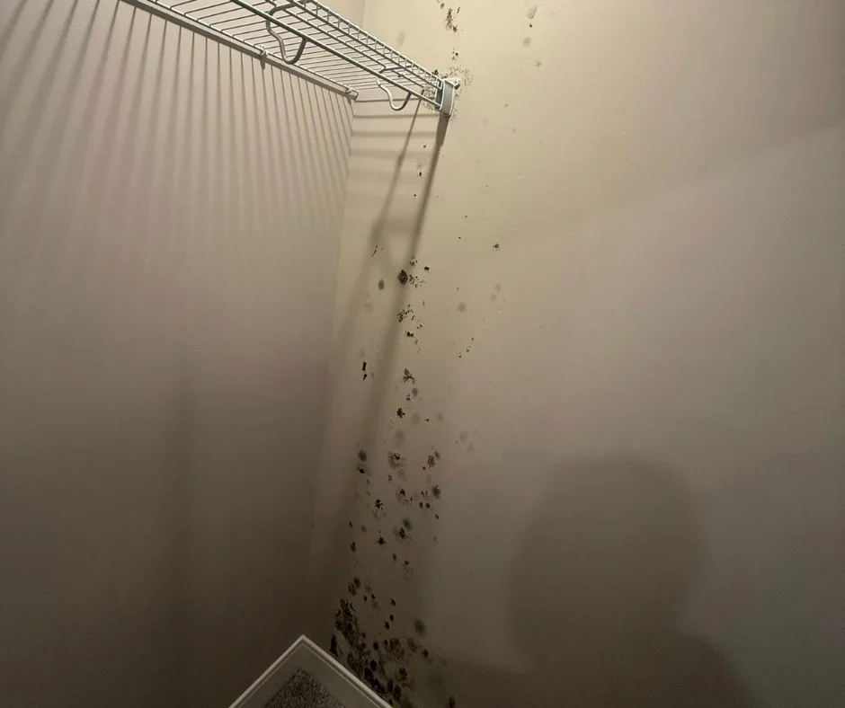 water damage restoration company near me cleveland