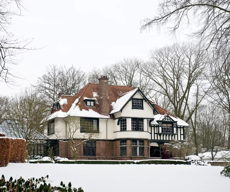 Snow Melt Water Damage services